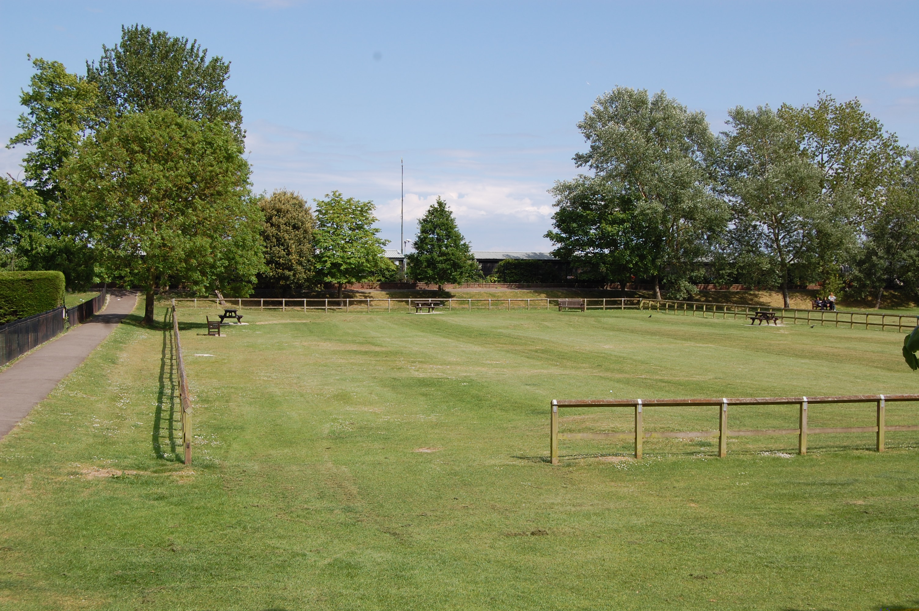 Rewilding the Salts or not