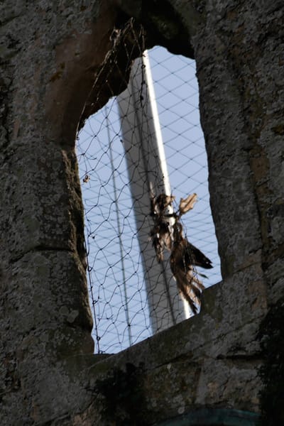 The unacceptable face of Rother's neglect