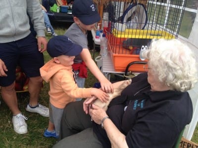 Ferrets may look cuddly, but beware their teeth