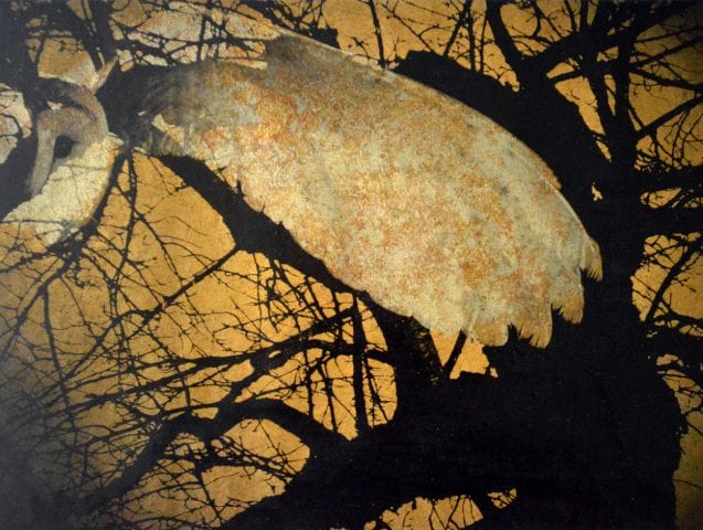 Nocturne by David Winston, Influenced by a piece of writing by Josian Van Melle