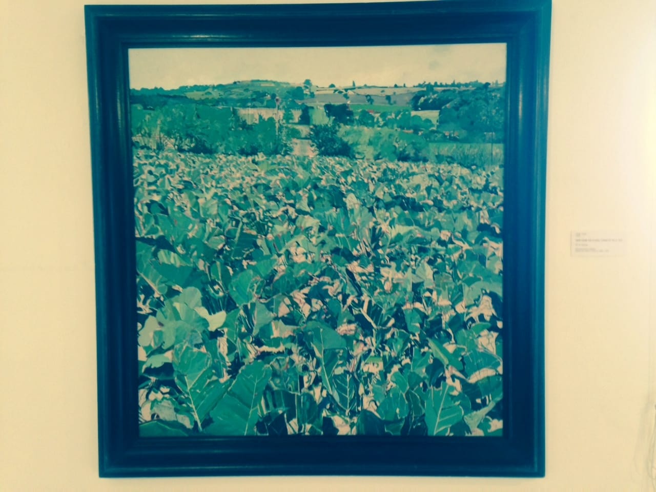 Louis Turpin's view of the cabbage patch, from the permanent collection
