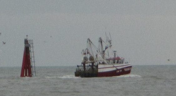 10940427_10155086129170361_1711452104334957496_n