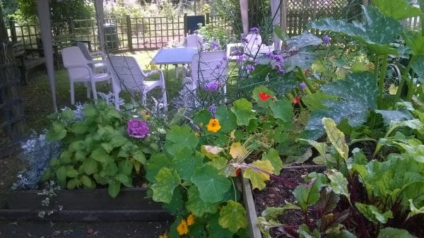 Part of the garden the ARRCC members created