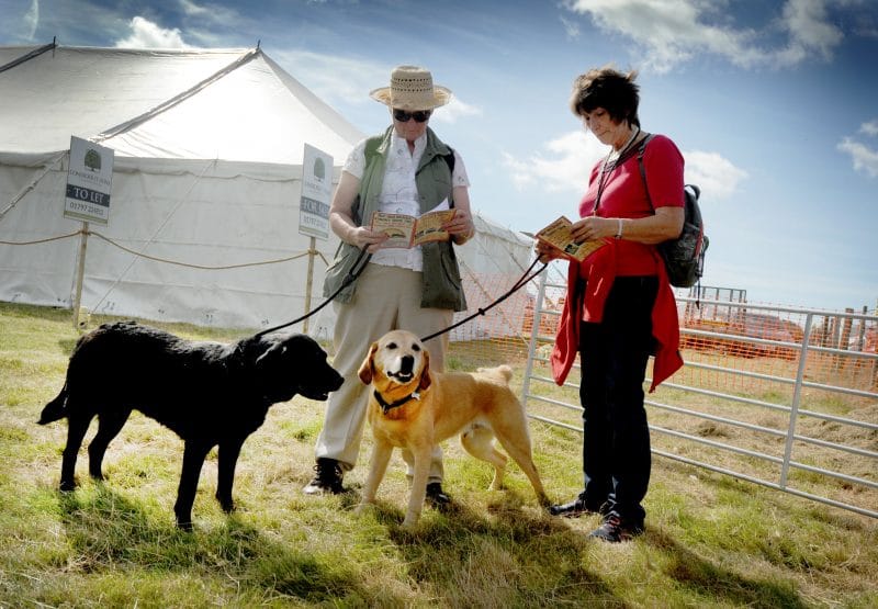No country Show is complete without the dogs