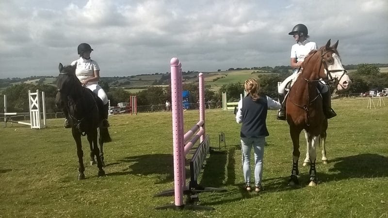 Beautiful horses getting their prizes