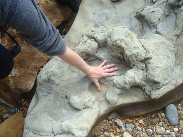 Finding pre-historic history on out door step