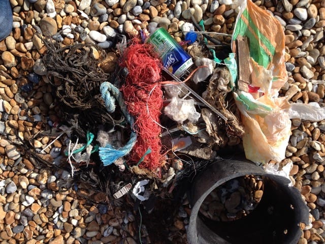 Why do people think the beach is a dustbin?